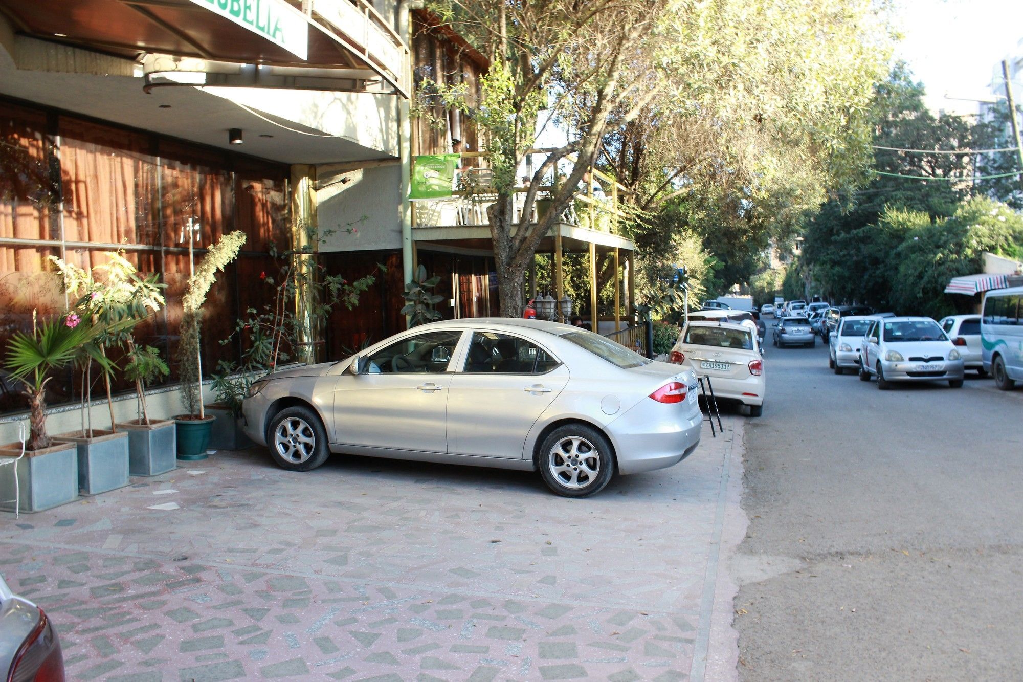 Hotel Lobelia Addis Abeba Eksteriør bilde